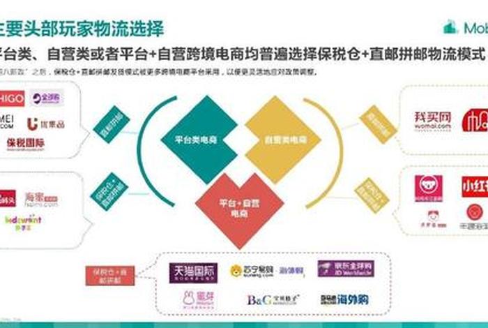 电商是做什么的、数字电商是做什么的