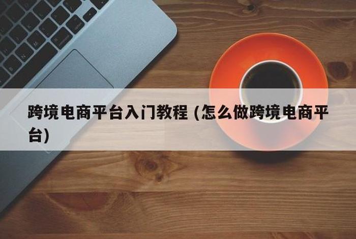 跨境电商新手入门视频教程在线（跨境电商新手入门学啥）