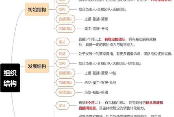 什么叫电商运营人员；电商运营人员的主要工作内容和职责