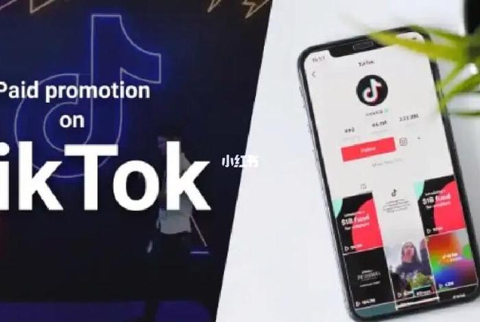 tiktok跨境电商平台；tik tok跨境电商