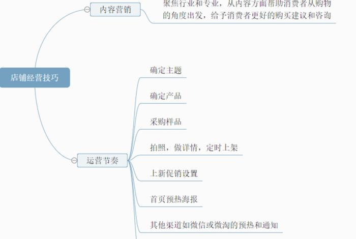 店铺运营思路规划导图，店铺运营思路规划导图怎么做