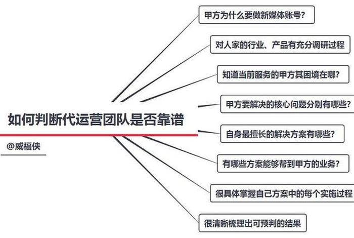 代运营公司运营团队（代运营公司工作内容）