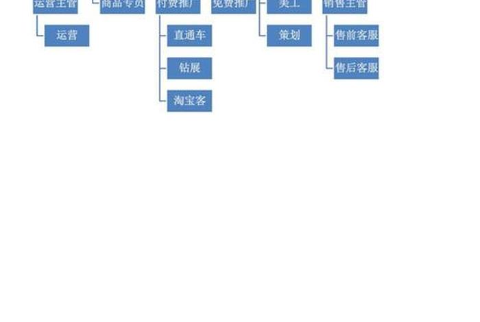 专业电商运营团队建设 电商运营团队需要哪些岗位