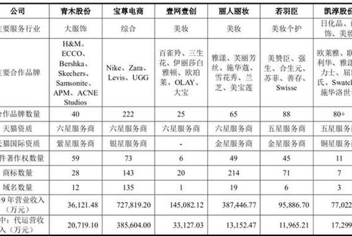 上海排名前十的电商代运营公司，上海国内前10电商代运营公司