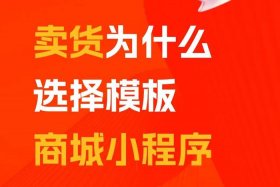 个人网上卖货的平台、个人卖货平台选哪个