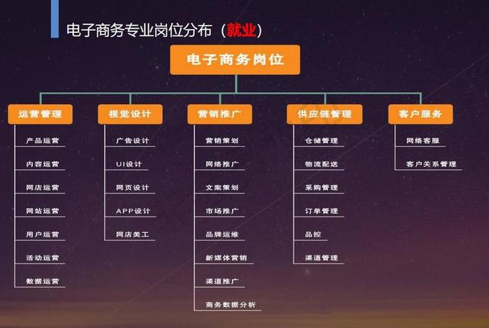 国内电商运营专业 电商运营专业要求