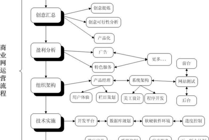 国内电商的运营模式；国内电商运营模式流程资料