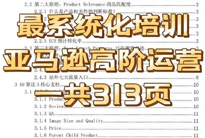 怎样在亚马逊上开自己的店铺线下培训班，亚马逊店铺培训课程可靠吗