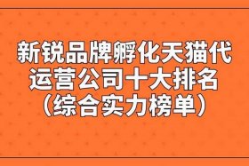 天猫代运营榜单（十大电商代运营公司）