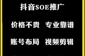 互联网代运营加盟 抖音代运营加盟