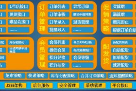 电商系统（电商erp都有什么功能）