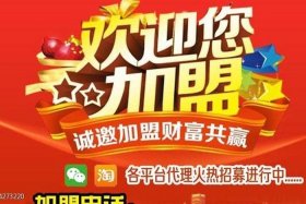 淘宝网店代理加盟 - 淘宝店铺怎样加盟村淘