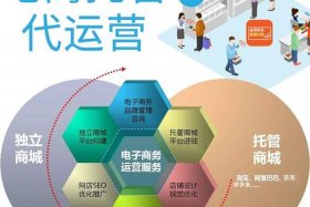 电商代运营公司和自运营怎么选择，从效率和成本方面来讲,自运营和代运营哪