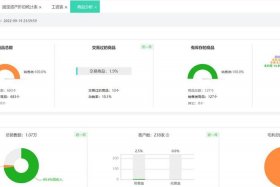 卖货平台排名前十名；最新跨境电商erp系统排名