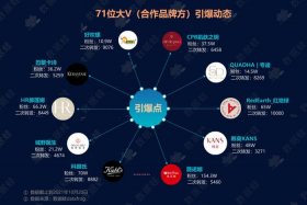 淘宝案例分析报告PPT 淘宝上买的ppt准确吗