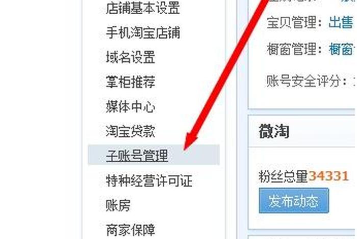 淘宝商家子账号怎么登录 - 淘宝子账号只能电脑端登录么
