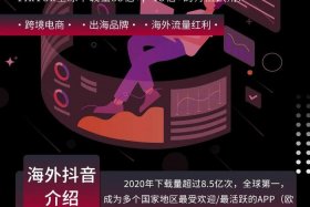 TikTok跨境电商运营课程 个人如何运营Tiktok新手小白必看