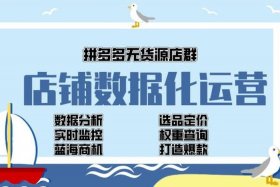 拼多多店铺矩阵运营 - 无货源电商如何运营才能有业绩