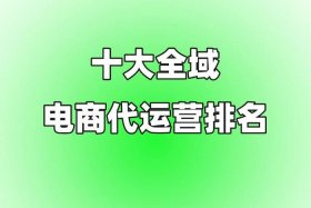 企业网络代运营 - 十大电商代运营排名