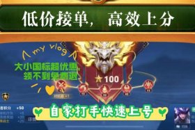 王者十大接单平台、王者荣耀可以在哪里接单代打,有什么平台吗