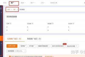 淘宝平台提点是多少（做淘宝运营没有工资,抽多少点数合适）