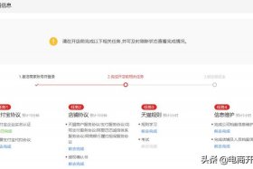 国际淘宝店铺怎么开 天猫国际入驻流程