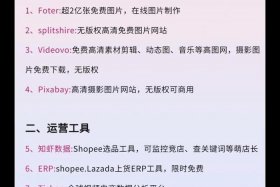 电商运营交流群 “Shopee数据化运营”,20位Shopee大卖爆单的秘籍