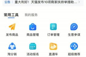 新开的淘宝店铺怎么运营才有流量 - 淘宝新开的店铺怎么引流量