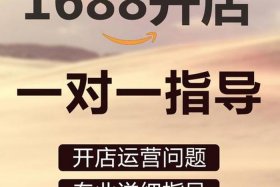 开网店注册什么公司好 开网店是注册电子商务公司还是贸易公司好