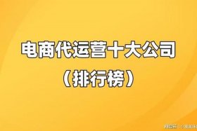 百度推广代运营公司、十大电商代运营排名