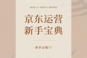 京东pop店铺运营思路；在京东网上如何营销