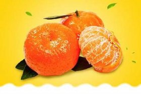 在家做电商怎么做特产销售；如何利用电商高价销售柑橘