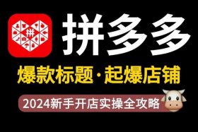 拼多多怎么开店运营课程；拼多多开店全流程和实操教程,新手从0到1起爆店铺