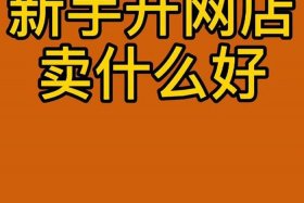新手网店入驻哪个平台好；新手网店入驻哪个平台好