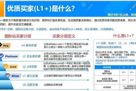 电商运营工资大概多少985大学、跨境电子商务专业好找工作吗
