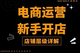 淘宝运营玩法有哪些类型、淘宝有哪些经营模式 有哪些运营方法