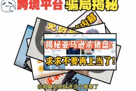 跨境电商被骗怎么办、跨境电商骗术