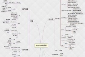 电商运营自学全套教程亚马逊，亚马逊电商运营工作内容