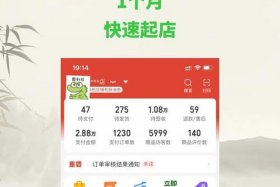 在拼多多开店需要多少钱；在拼多多开店需要多少钱投资