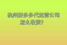 拼多多代运营公司收费标准；拼多多代运营挣钱吗