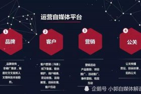 互联网代运营主要做什么、互联网代运营主要做什么的