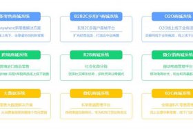 电商平台怎么搭建才能赚钱；电商平台咋做