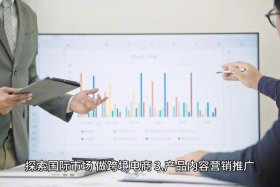 电商运营的理解和认识；对于电商运营的了解