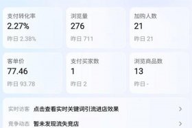 淘宝每天访客200怎么提升 淘宝每天访客多少正常