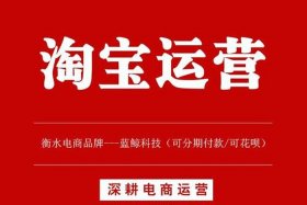 海南淘宝电商运营团队 - 海纳淘宝电商运营