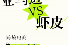 虾皮跨境电商官网是真的吗、虾皮跨境电商平台官网怎么样