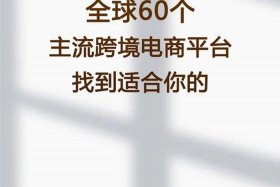 跨境电商平台有哪些可以个人注册；跨境电商平台有哪些可以个人注册的