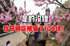 0投资开网店 - 投资开网店会不会被骗？