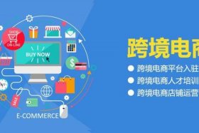 如何创建自己的电商平台 - 如何创造电商平台