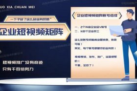 视频运营学什么专业；视频类运营